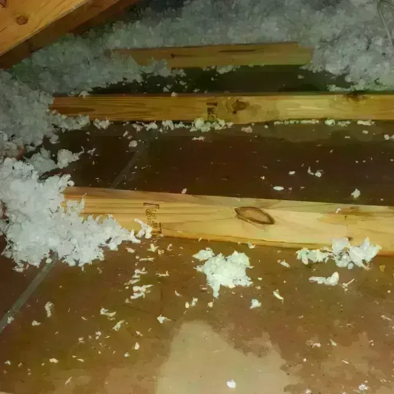 Attic Water Damage in Lincoln County, MT